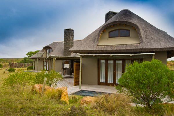 bush-fynbos-villas-royal-african-discoveries-5