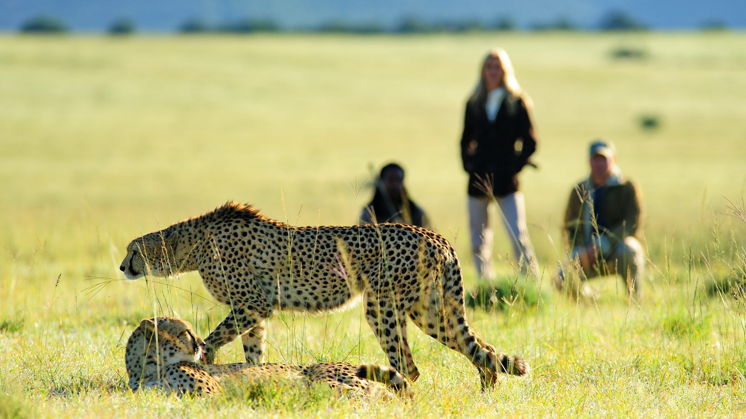 A Live Safari Experience