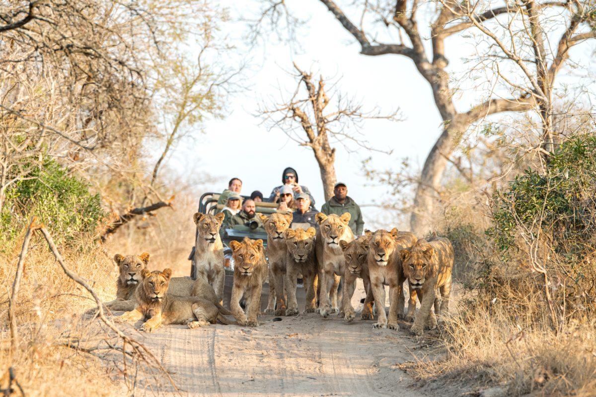 Kruger Lodges Feedback