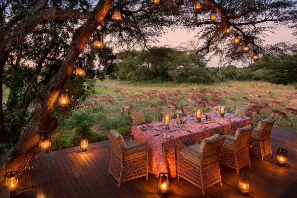 phinda-vlei-lodge-royal-african-discoveries-1
