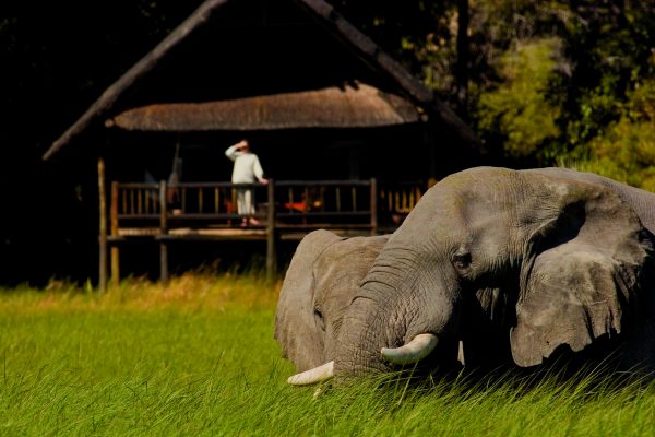 belmond-khwai-river-lodge-royal-african-discoveries-3