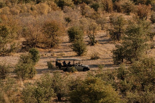 savute-elephant-lodge-rad-new-3