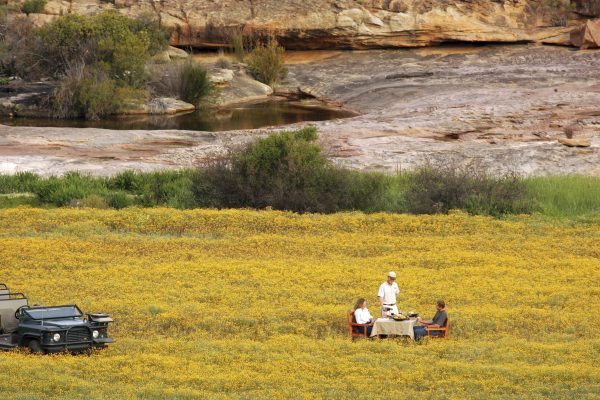 bushmanskloof-royal-african-discoveries-7